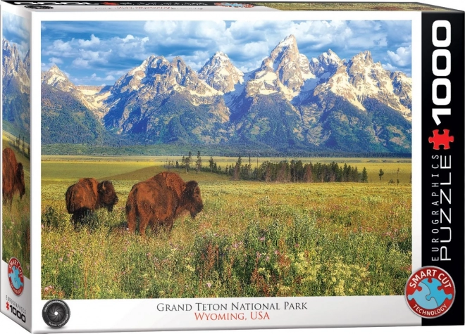 Puslespil smukke Nationalpark Grand Teton 1000 brikker
