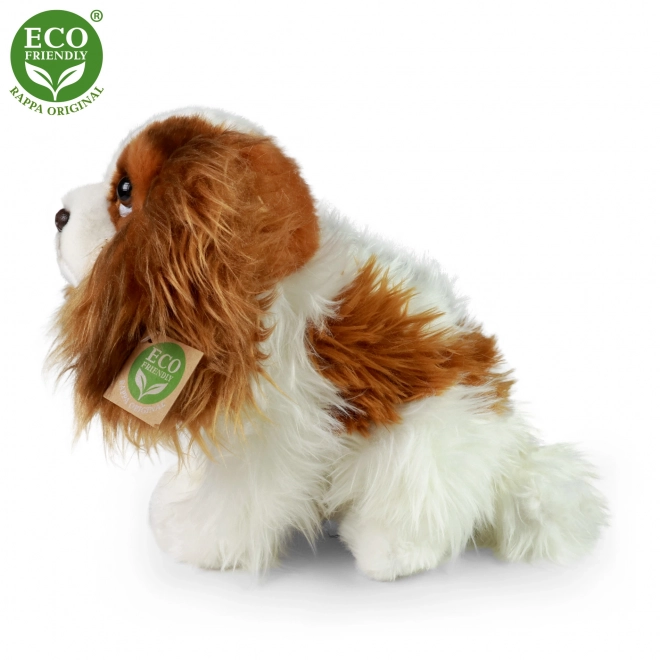 Plys hund king charles spaniel 25 cm MILJØVENLIG