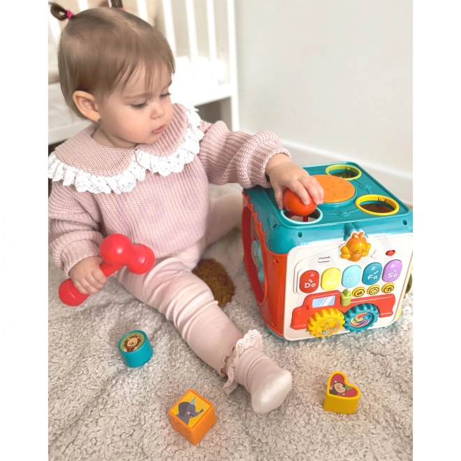 Montessori Aktiv Kube 6-i-1