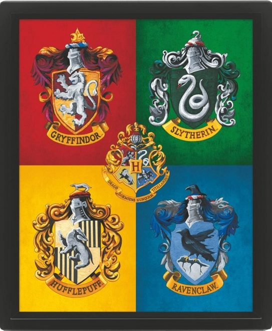 3D billede Harry Potter farverig