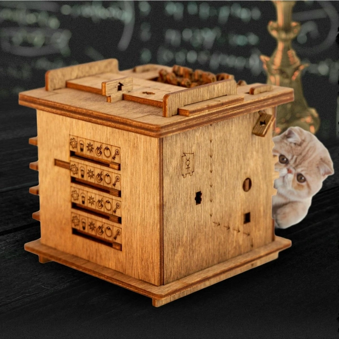 IDventure Hovedbrud Flugtværelse Schrödinger's kat