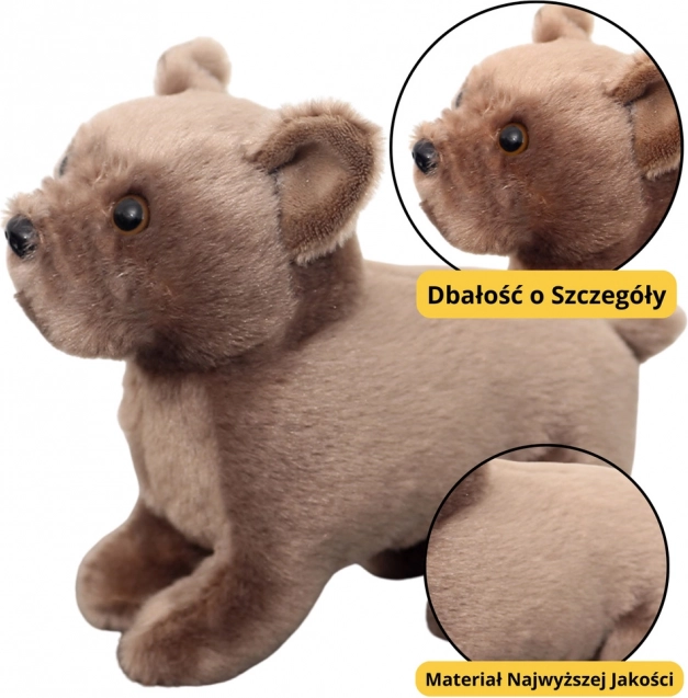 Brun plys hund 19cm