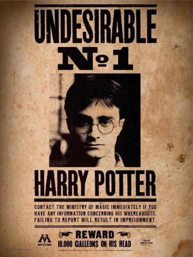 Mini puslespil HARRY POTTER 50 brikker – plakat
