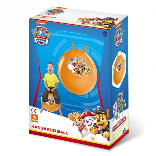 Hoppebold Paw Patrol 50 cm