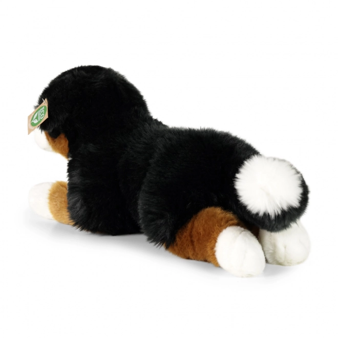 Plys bernersennenhund liggende 44 cm ECO-FRIENDLY