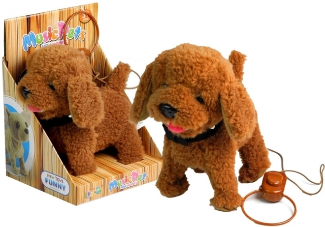Interaktiv hund Hund i snor Brun puddel