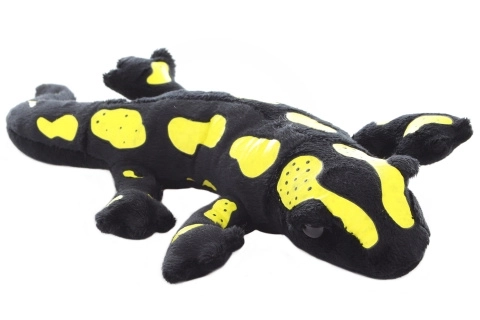 Plys salamander