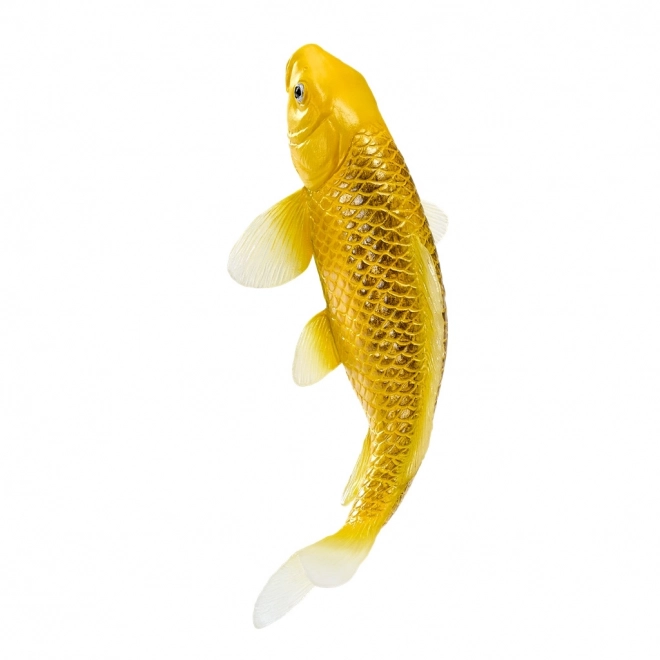 Mojo karpe koi Matsuba