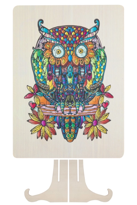Detaljeret illustreret ugle