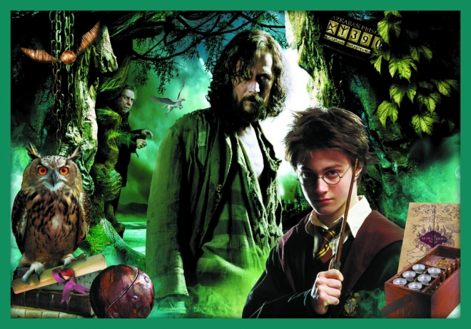 Puslespil Harry Potter - I Harry Potters Verden 10i1
