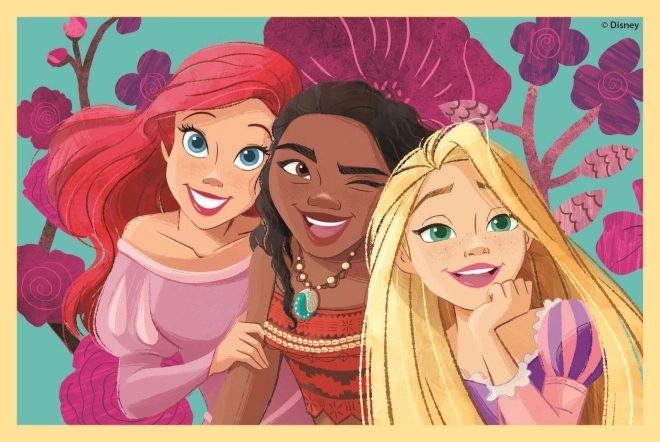 CLEMENTONI Billedklodser Disney Prinsesser, 6 klodser