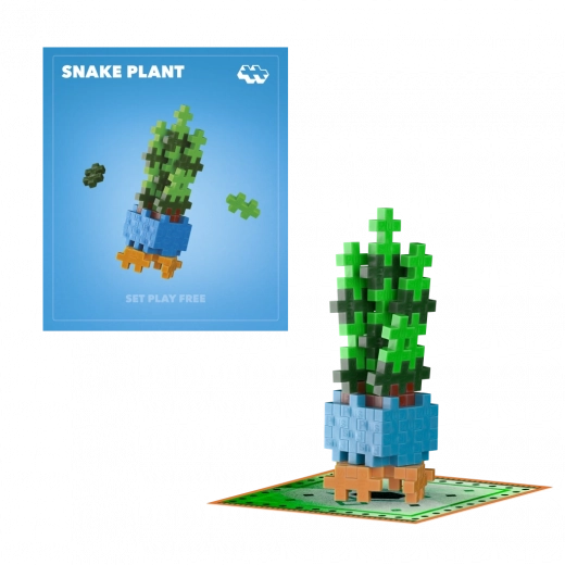 Plus-Plus blomst Snake Plant