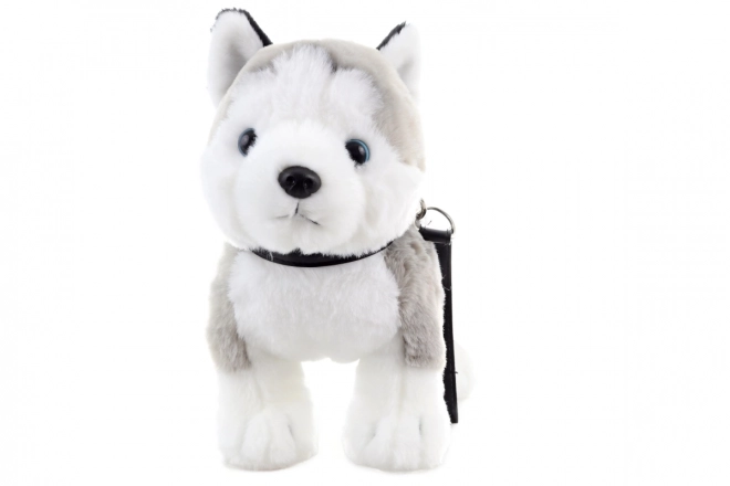Plys husky med snor