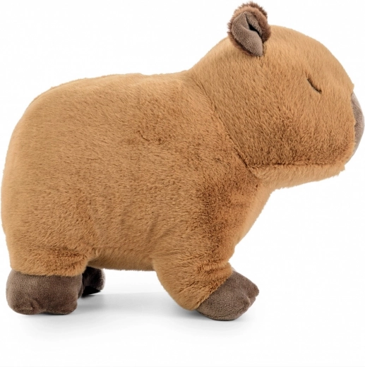 Naturligt, beroligende design