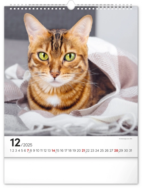 Vægkalender Katte 2025, 30 × 34 cm
