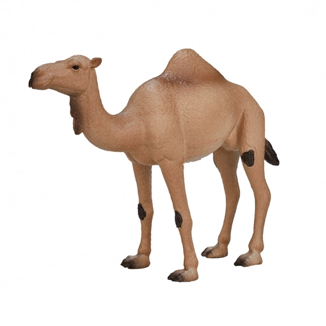 Mojo Animal Planet Én-puklet Kamel