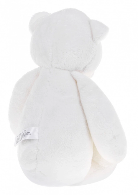 Bamse sut 3-i-1 til b8rn fra 6m+ Sensorisk legetf8j + Projektor + Musikboks + Plys legetf8j