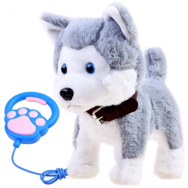 Interaktiv Huskyhund på snor