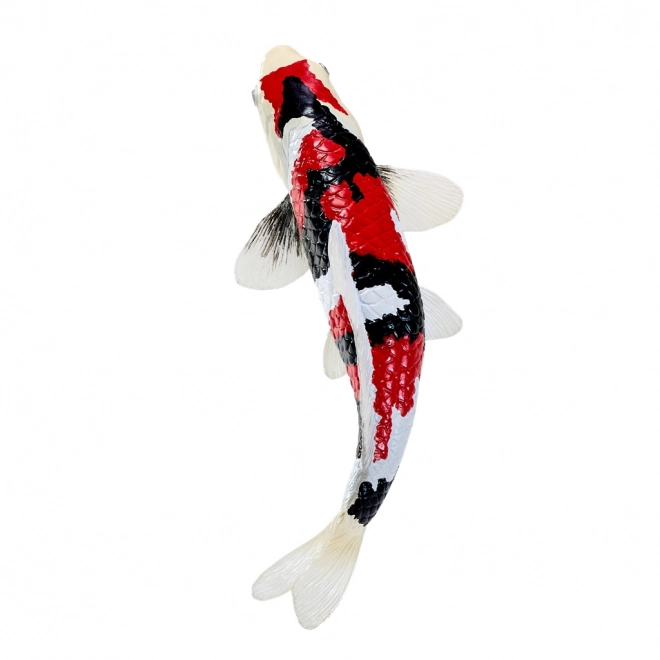 Mojo karpe koi showa sanshoku