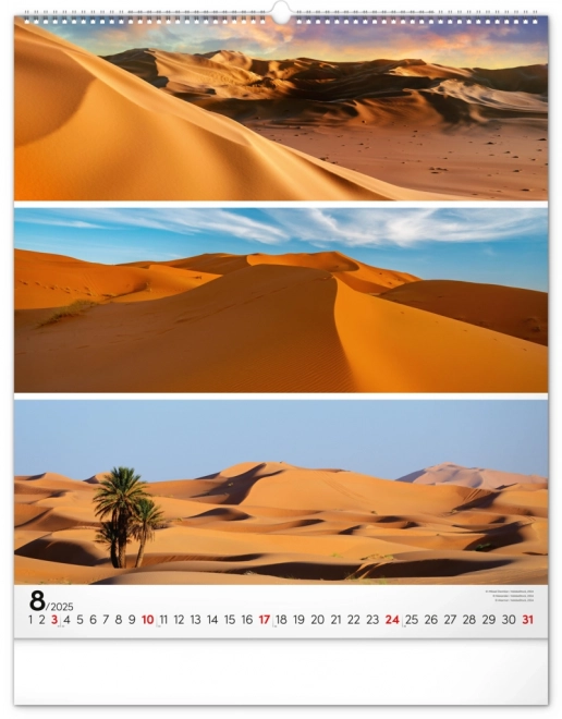 NOTIQUE Vægkalender Palet 2025, 48 x 56 cm