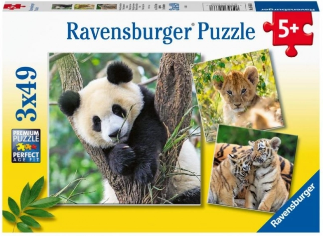 Panda, tiger og løve 3x49 brikker