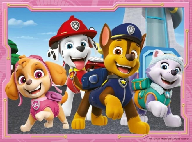 Paw Patrol 4 i 1