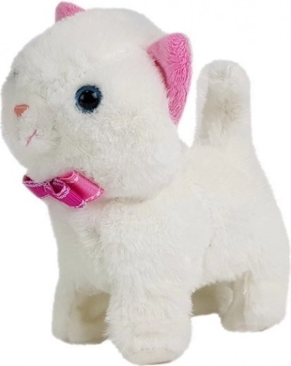 Interaktive funktioner