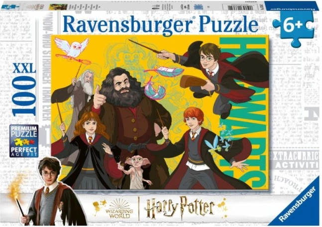 Harry Potter: ung troldmand puslespil 100 brikker