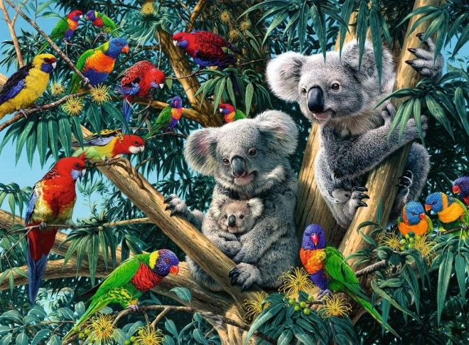 Koalaer i træet 500 brikker