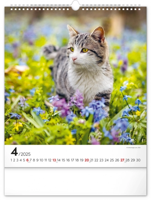 Vægkalender Katte 2025, 30 × 34 cm