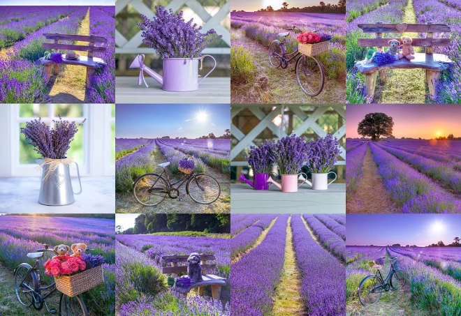 Træpuslespil Lavendel Frankrig 2-i-1