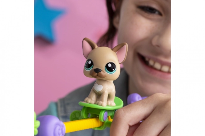 Littlest Pet Shop legetøjssæt Dyr har talent