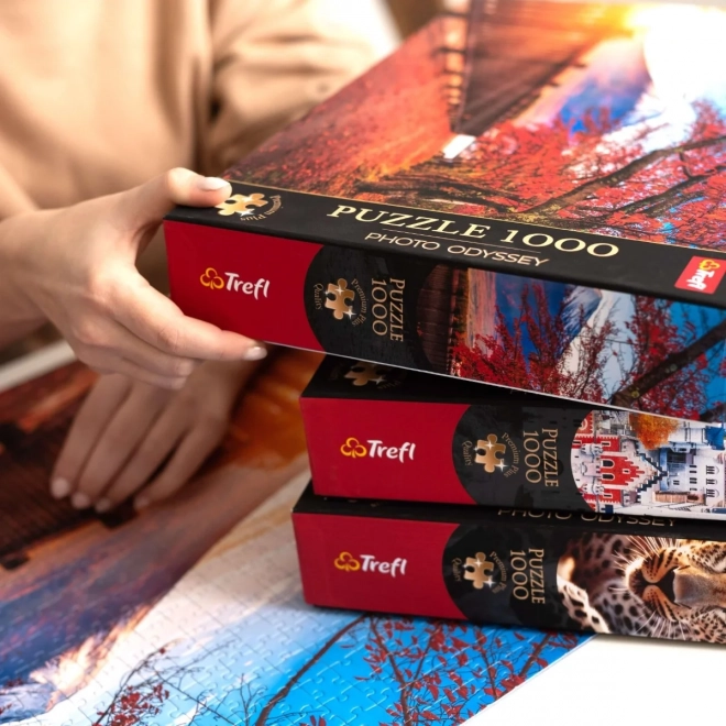 Puzzle TREFL Premium Plus: Te Tid - Sleepy Lane Cottage 1000 brikker