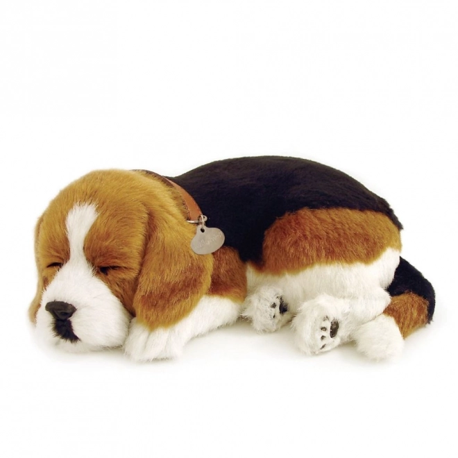 Åndende Beagle Hvalp Perfect Petzzz