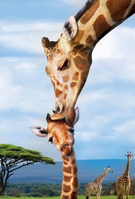 Eurographics Puzzle Save Our Planet: Giraffer XL 250 brikker