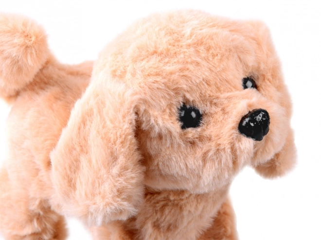 Interaktiv plysbamse i SPA-salon