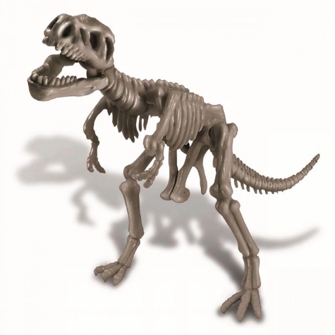 Dinosaurkskelet - REX