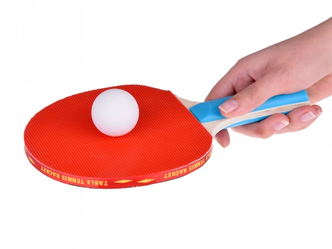 Træbatsæt til bordtennis med bolde