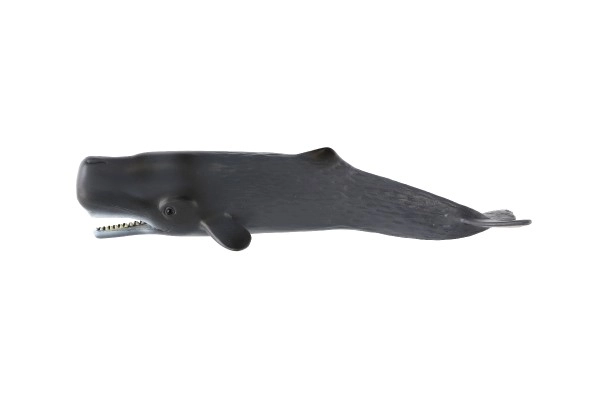 Realistisk model af Kaskelothval 24 cm