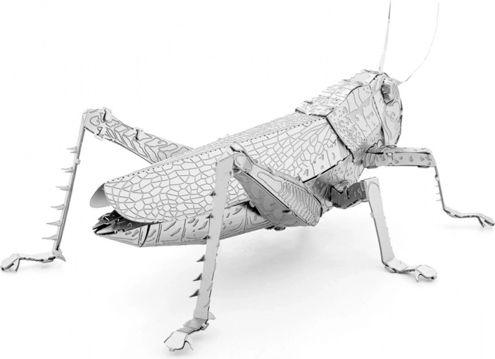 Metalsamlerobjekt til udstilling