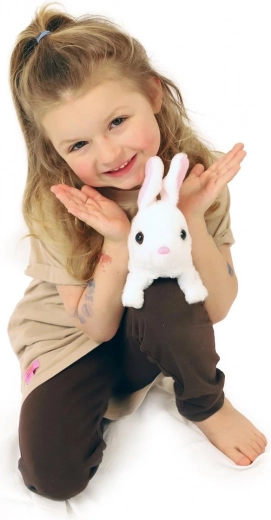 Lille hus direkte i emballagen