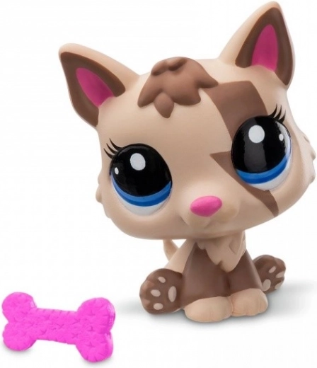 Tilbehør og samlerkort i pakken