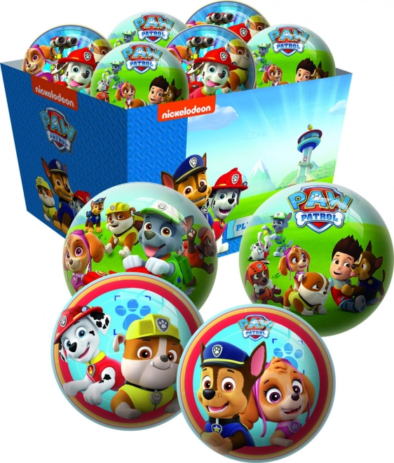 Bold med Paw Patrol