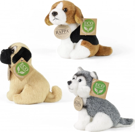 Realistiske racer: Beagle, Mops og Husky