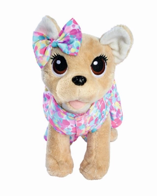 CCL Hund Chihuahua Bonbonek