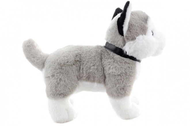 Plys husky med snor