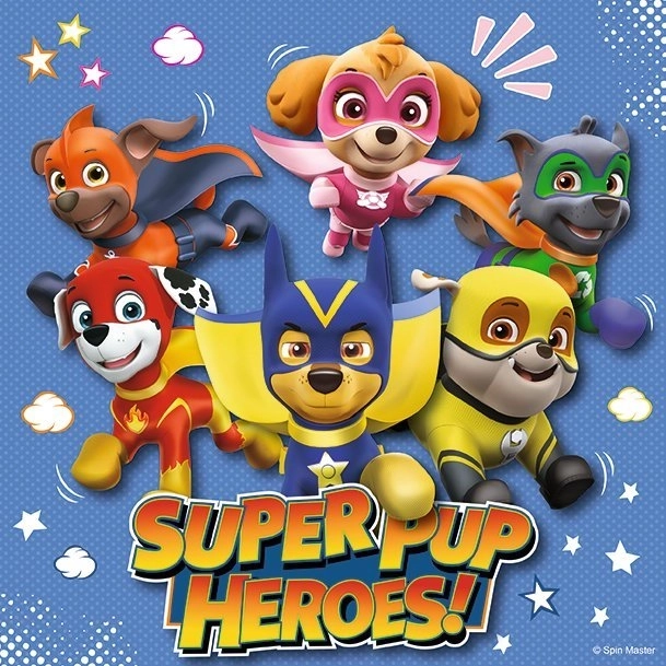 Paw Patrol 3x49 brikker