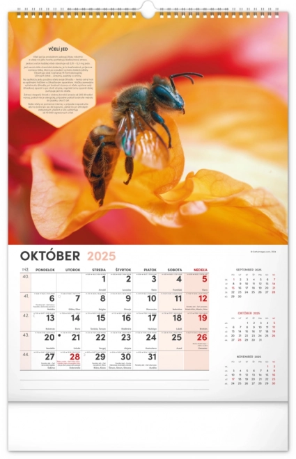 NOTIQUE Vægkalender for Biavl 2025, 33 x 46 cm