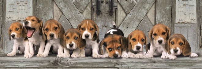Puslespil 1000 brikker compact panorama beagle
