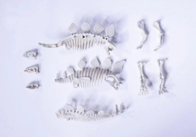 Sæt til udgravning og samling af dinosaurknogler